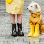 a cute dog wearing raincoat near its owner